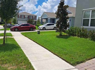 Denicia T.'s lawn care service result