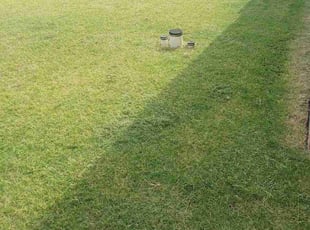 Nancy S.'s lawn care services service result