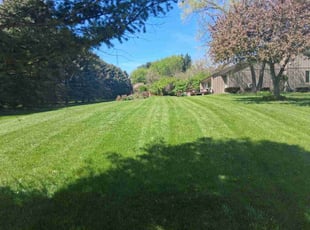 Joe M.'s lawn service service result