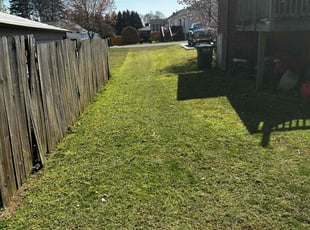 Julia B.'s grass maintenance service result