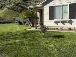 Saed A.'s lawn care services service result