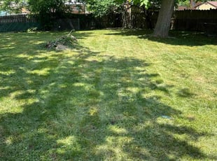 Michael C.'s lawn maintenance service result