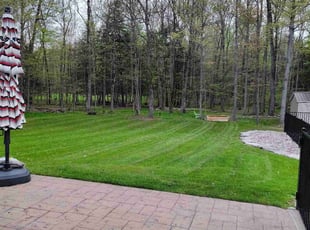 Marjorie W.'s turf maintenance service result
