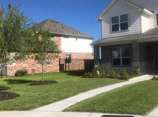 Kristi C.'s turf care service result