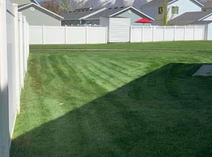 Irene C.'s lawn care service result