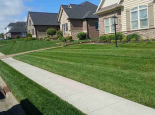 Donovan B.'s lawn service service result