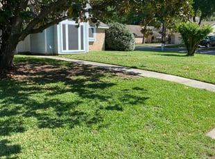 Timothy A.'s lawn maintenance service result