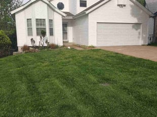 Renda M.'s lawn maintenance service result