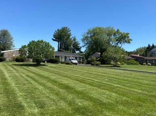 Nick W.'s lawn care service result