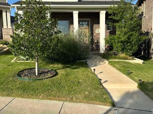 Wynter J.'s grass cutting service result