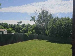 Derrick W.'s grass maintenance service result