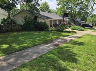 Leah M.'s turf care service result