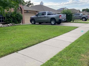 Sheryll R.'s turf care service result