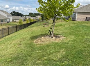 Danielle E.'s lawn care service result
