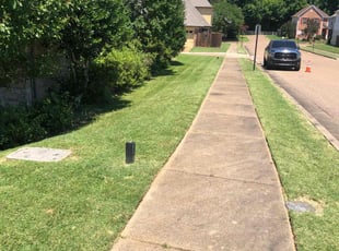 Dionne T.'s lawn care service result