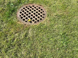 Robert T.'s lawn care service result