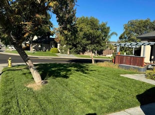 Erica C.'s turf maintenance service result