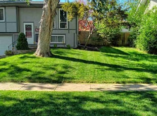 Lori W.'s grass cutting service result