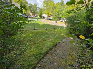 Patricia B.'s lawn care service result