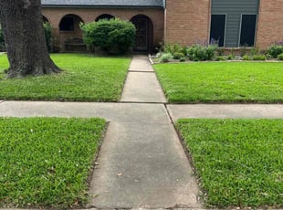 Autumn Y.'s lawn care services service result