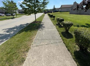 Tami W.'s grass cutting service result