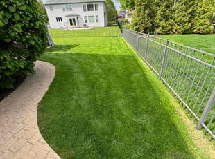 Brenda O.'s turf care service result