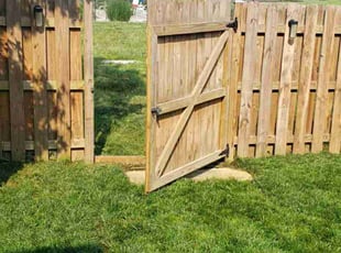 Angela S.'s lawn care services service result