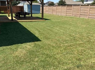 Betty D.'s turf care service result