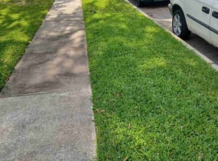 Bonnie D.'s lawn care service result