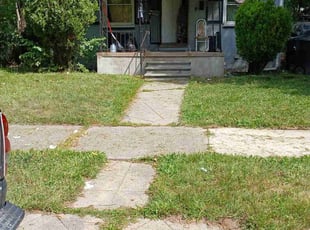 Irene T.'s lawn care services service result