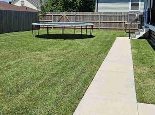 Mecca M.'s lawn service service result