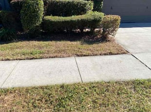 Daniel V.'s turf care service result