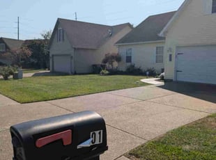 Chelsea M.'s turf care service result