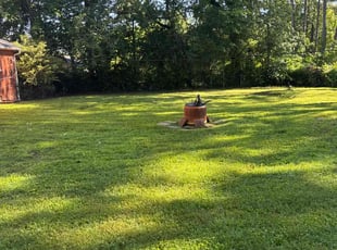 Carol R.'s grass maintenance service result