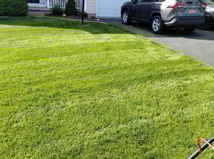 Bonita W.'s grass maintenance service result