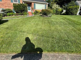 Elle A.'s grass maintenance service result