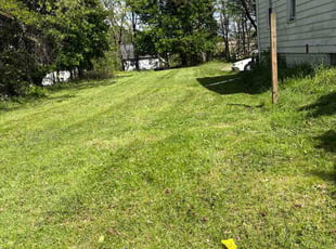 Barbara K.'s lawn care service result