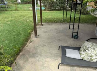 Catherine F.'s lawn maintenance service result