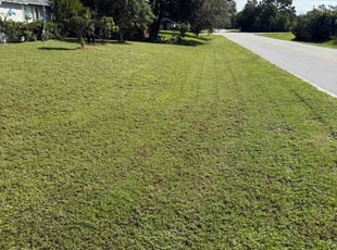 Maurice N.'s lawn service service result