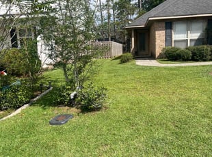 Kaci B.'s grass cutting service result