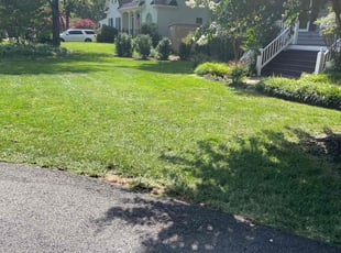 Shawn S.'s lawn maintenance service result