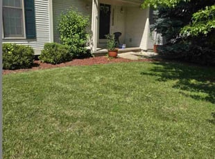 Mar M.'s yard care service result