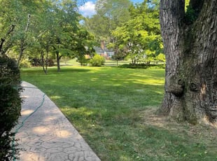 Georgianne G.'s grass cutting service result