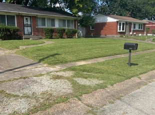 Cedric D.'s grass maintenance service result