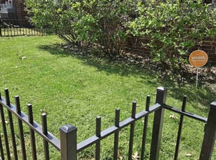 Lori R.'s grass cutting service result