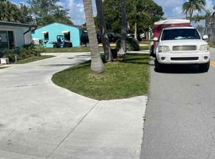 Giovanni I.'s lawn care service result