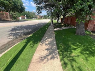 Denise A.'s lawn care service result
