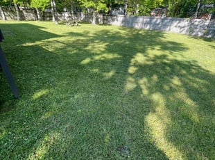 Brittni F.'s grass cutting service result