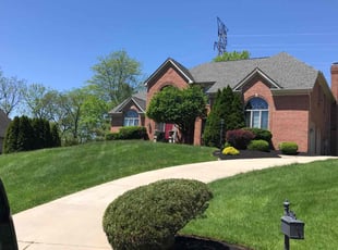 Lakisha B.'s lawn maintenance service result