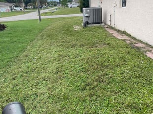 Scarlene A.'s grass cutting service result